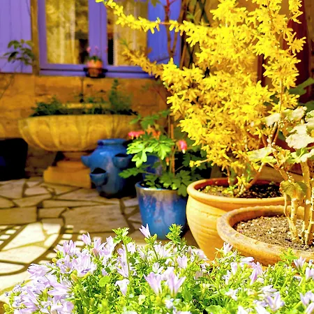 La Lanterne D'hotes Oda ve Kahvaltı 3*