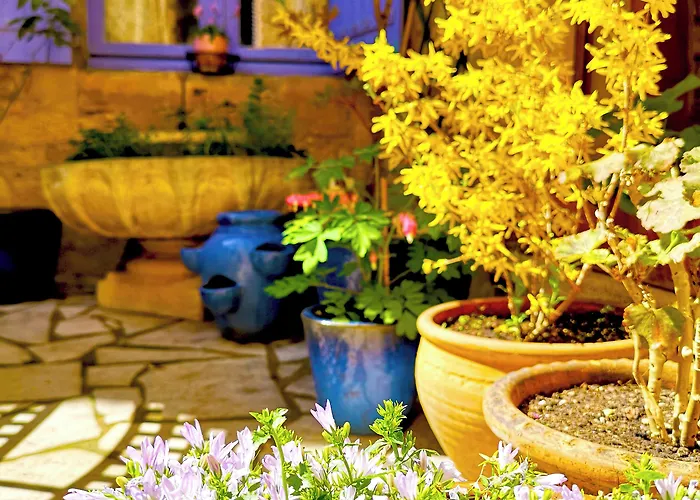La Lanterne D'hotes Bed & Breakfast 3*